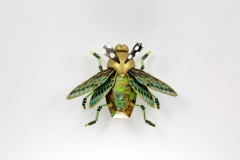 insecta-025