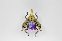 insecta-031