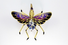 insecta-043