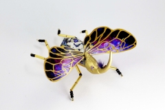 insecta-044
