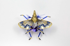 insecta-049