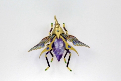 insecta-053