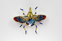 insecta-055