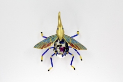 insecta-057